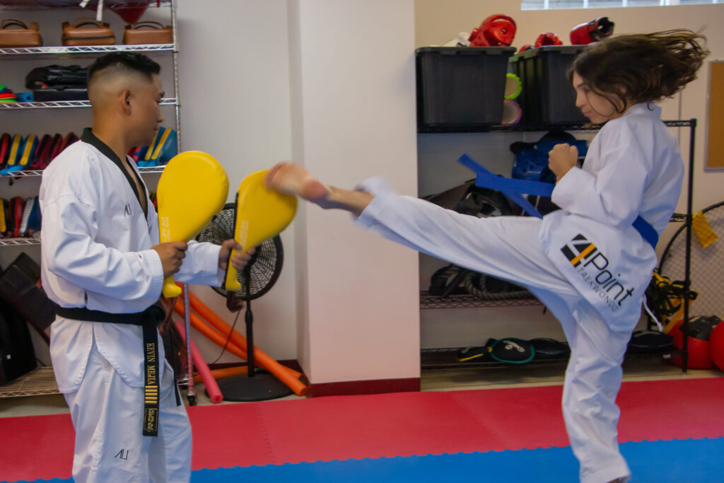 taekwondo roundhouse kick